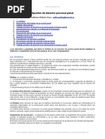 Apuntes Derecho Procesal Penal