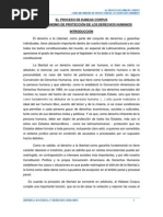 El Proceso de Habeas Corpus Como Mecanismo de Protección de Los Derechos Humanos