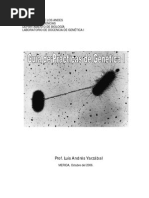 Guia de Laboratorio Genetica