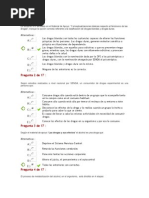 Prueba Curso Prevencion de Drogas