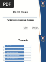 Efecto Escala - RRS