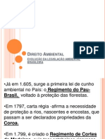 Histórico Do Direito Ambiental No Brasil