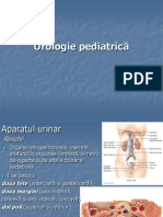 Curs Urologie