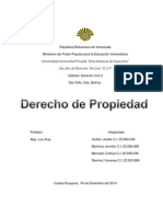 Derecho de Propiedad 