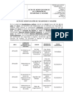 Formato de Acta de Verificacion de La CSH