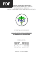 Ganancia de Peso en Pollos de Engorde (Proyecto)