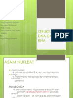 Struktur Dna Dan Rna