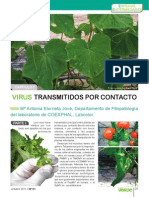 Virus Del Mosaico Del Tomate