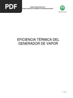 7-Eficiencia Térmica Del Generador de Vapor