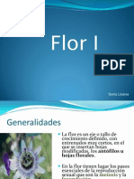 Flor 120121