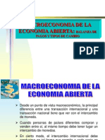 Economía Abierta