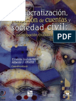 Democratización, Rendición de Cuentas y Sociedad Civil