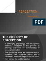 The Concept of Perception