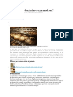 Qué Tipos de Bacterias Crecen en El Pan