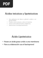 Ácidos Teicoicos y Lipoteicoicos