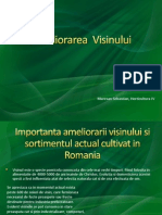 Ameliorarea Visinului