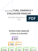 08 Estructura Dinamica y Evaluacion Familiares