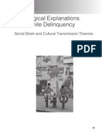 Sociological Explanations For Juvenile Delinquency