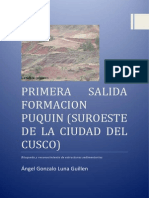 Formacion Puquin