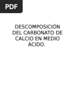 Descomposición Del Carbonato de Calcio en Medio Ácido