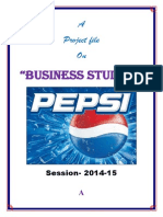 "Business Studies": A Project File On