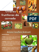 Árvores Frutíferas Do Cerrado 