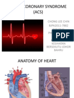 Acute Coronary Syndrome (Acs)