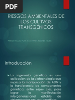 Agroecologia Tema 6 Transgenicos