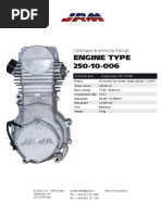 Engine 250 10 006 PDF