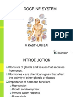 Endocrine System