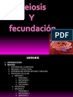 Meiosis y Fecundación