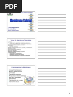 Diapositivas de Membrana Plasmatica