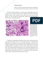 Histologi SSP