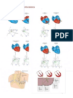 Electrocardiografía Básica A