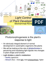 #2 MRQ - Phytochrome and Light Control