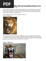 Lion: 600 Psi: Top 10 Animal Bites That Will Completely Destroy You