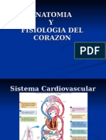 Anatomia y Fisiologia Del Corazon