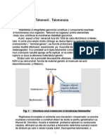 Telomerii Si Telomeraza