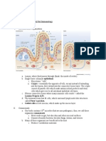 Lecture 19 Notes - Mucosal Immunity