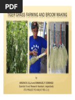 Tiger Grass Farming and Broom Making (Compatibility Mode) PDF