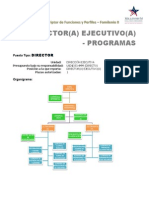 Perfil Subdirector Ejecutivo Programas