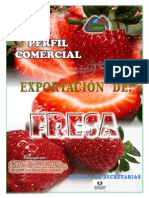 Proyecto Exportación de Fresa