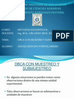 DBCA C Muestreo y Submuestreo