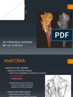 Colgajo Trapezio