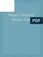 Proiect Adapost Pentru Caini