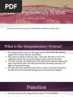 Integumentary System