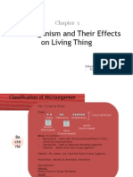 Microorganism and Their Effects On Living Thing