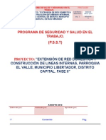 Programa de Salud y Seguridad en El Trabajo Con Los Procesos Peligrosos Incluidos