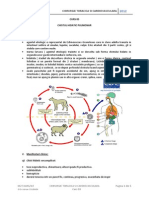 Chist Hidatic Pulmonar & Pleurezia Purulenta