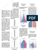 Piramide de Edad Geo B-3